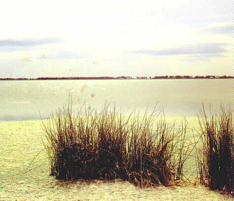 &eacute;tangs lattois